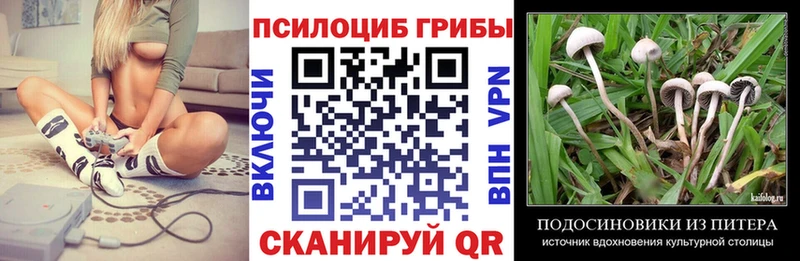 Галлюциногенные грибы Psilocybe  наркотики  Беломорск 